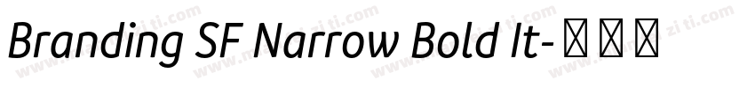 Branding SF Narrow Bold It字体转换